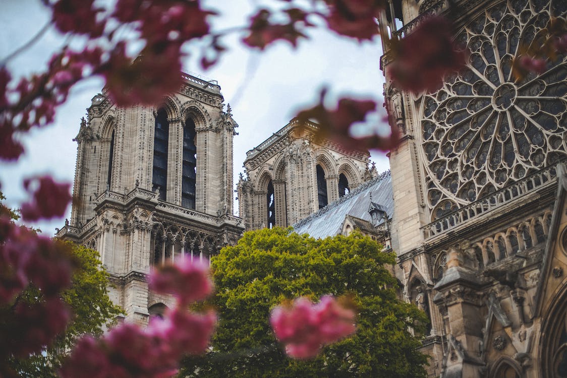 Low angle photo of Notre Dame Cathedral